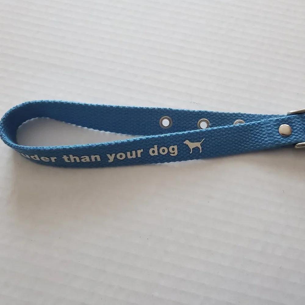 HTF Victoria Secret Pink RARE Dog Collar Vintage 2000's Aqua Blue Sooo Pretty - Picture 9 of 10